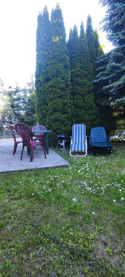 Apartamenty Z Ogrodem Nr 1 Studio Mrągowo Eksteriør billede